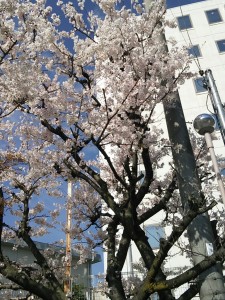 CYMERA_20140402_090000